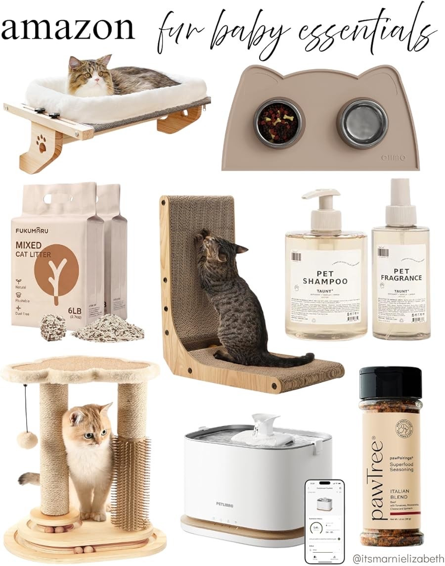 Amazon fur baby finds 🐈