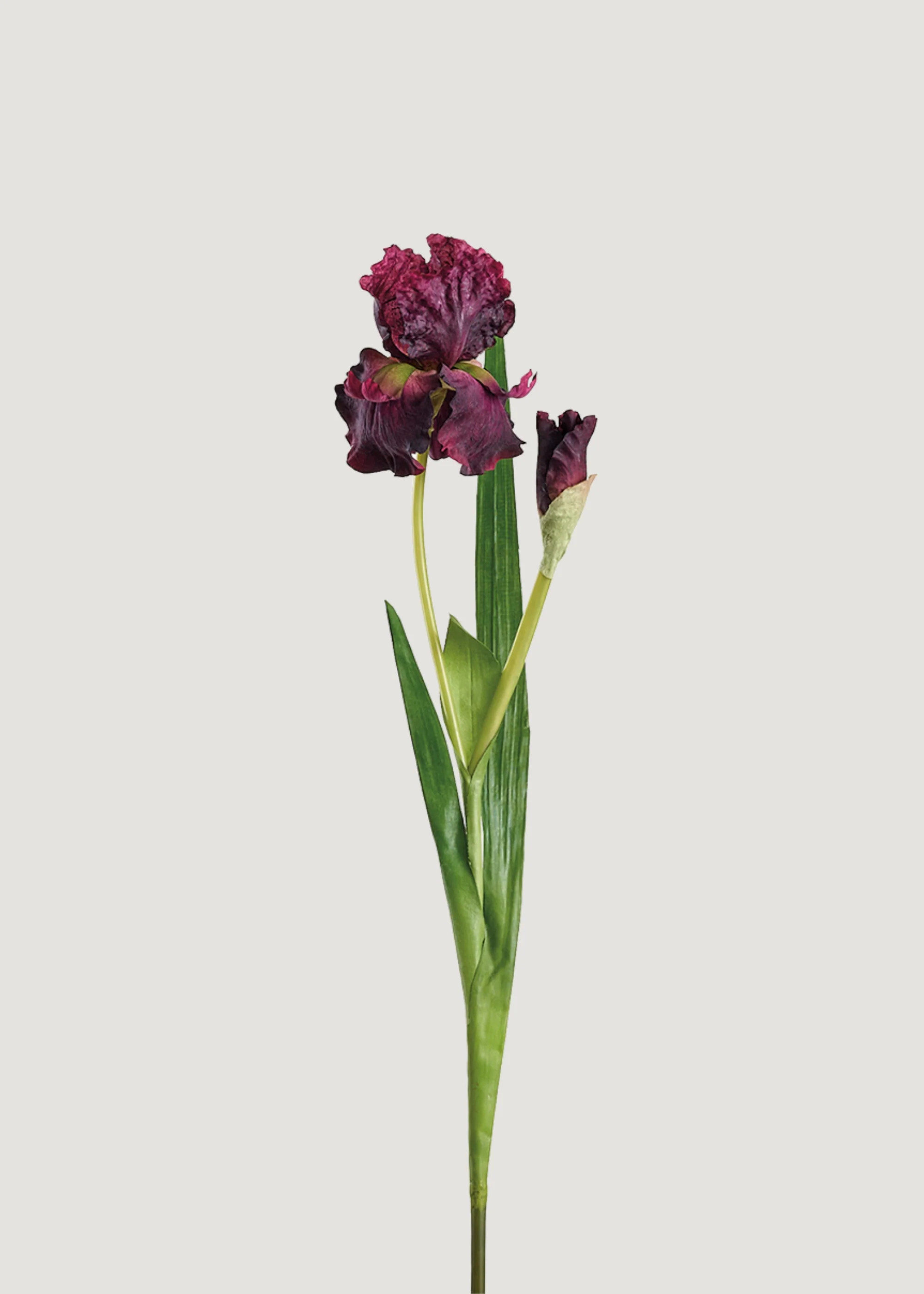 Iris Stem in Deep Plum | Realistic Faux Flowers at Afloral | Afloral