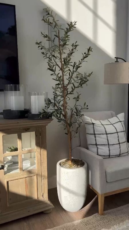Amazon, plant, stem, olive tree, faux plant, greenery, home decor, living room decor, bedroom decor, entryway

#LTKFind #LTKhome