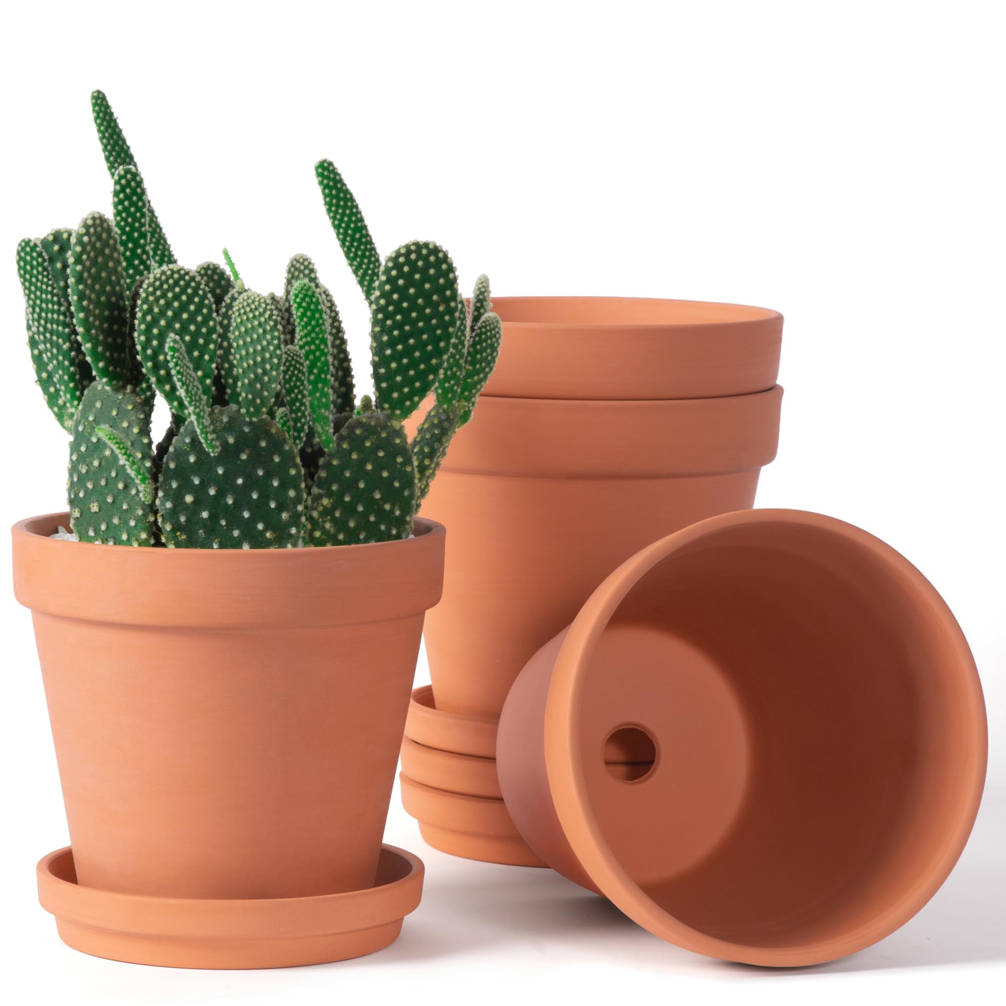 Orceler 6 inch Terracotta & Clay Pots for Plants with Saucer, Medium Terra Cotta Plant Pots with ... | Amazon (US)