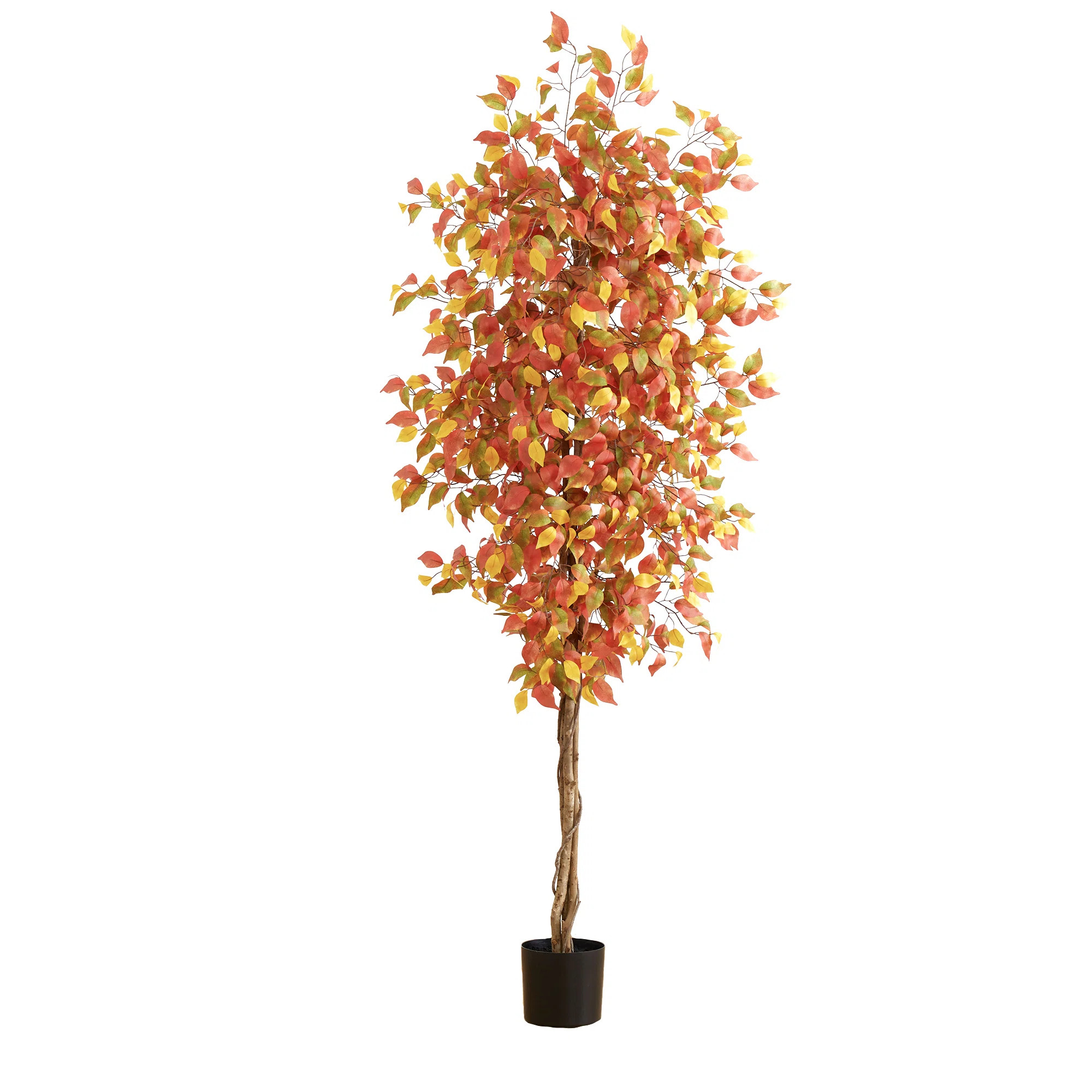 Primrue 84'' Faux Ficus Tree in Pot | Wayfair | Wayfair North America