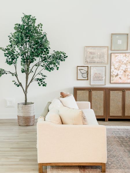 The prettiest and largest olive tree!!! Love it so much! Worth the splurge! 

Pottery barn THEBLOOMINGNEST 

#LTKhome