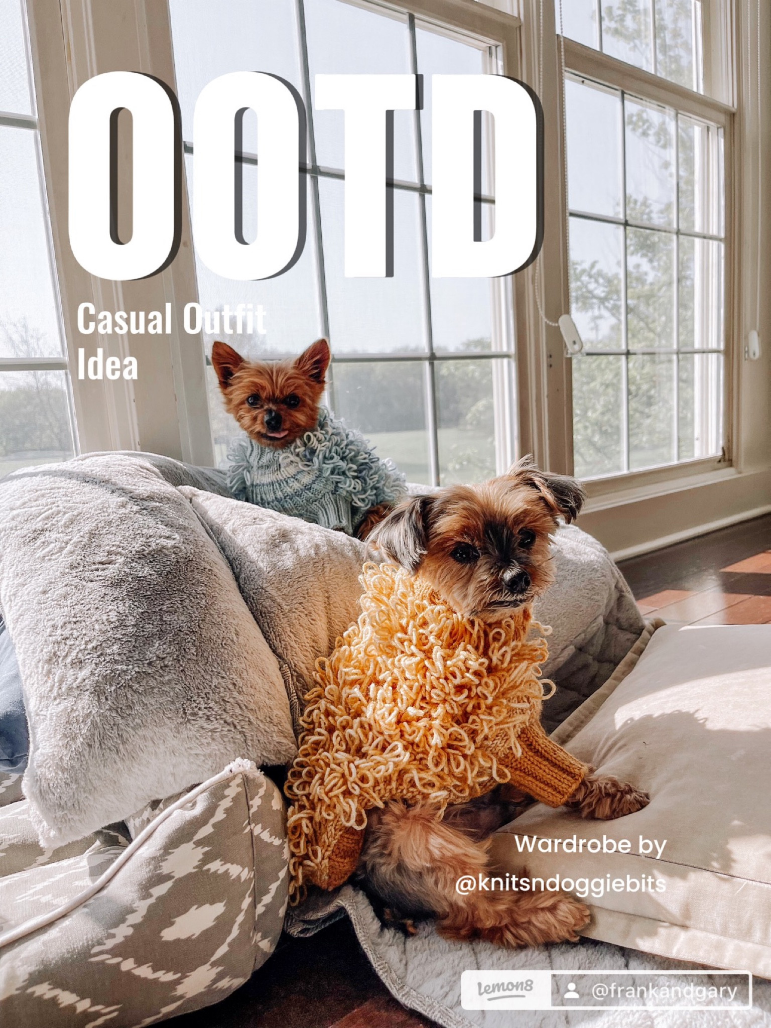 Frank and Gary’s OOTD
- fuzzy / curly knit fun dog sweater
- these are amazing and you can DM @knitsndoggiebits for them🤗 ( her Etsy shop is currently unavailable ☹️) #ltkdogmom 



#LTKFind #LTKunder100 #LTKfamily