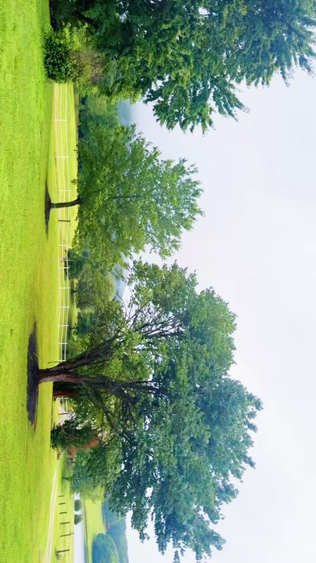 a rainy lil’ morning run 🏃‍♀️- and still so beautiful with the fog 🌫️ coming over the pond and mountain ⛰️!!!!