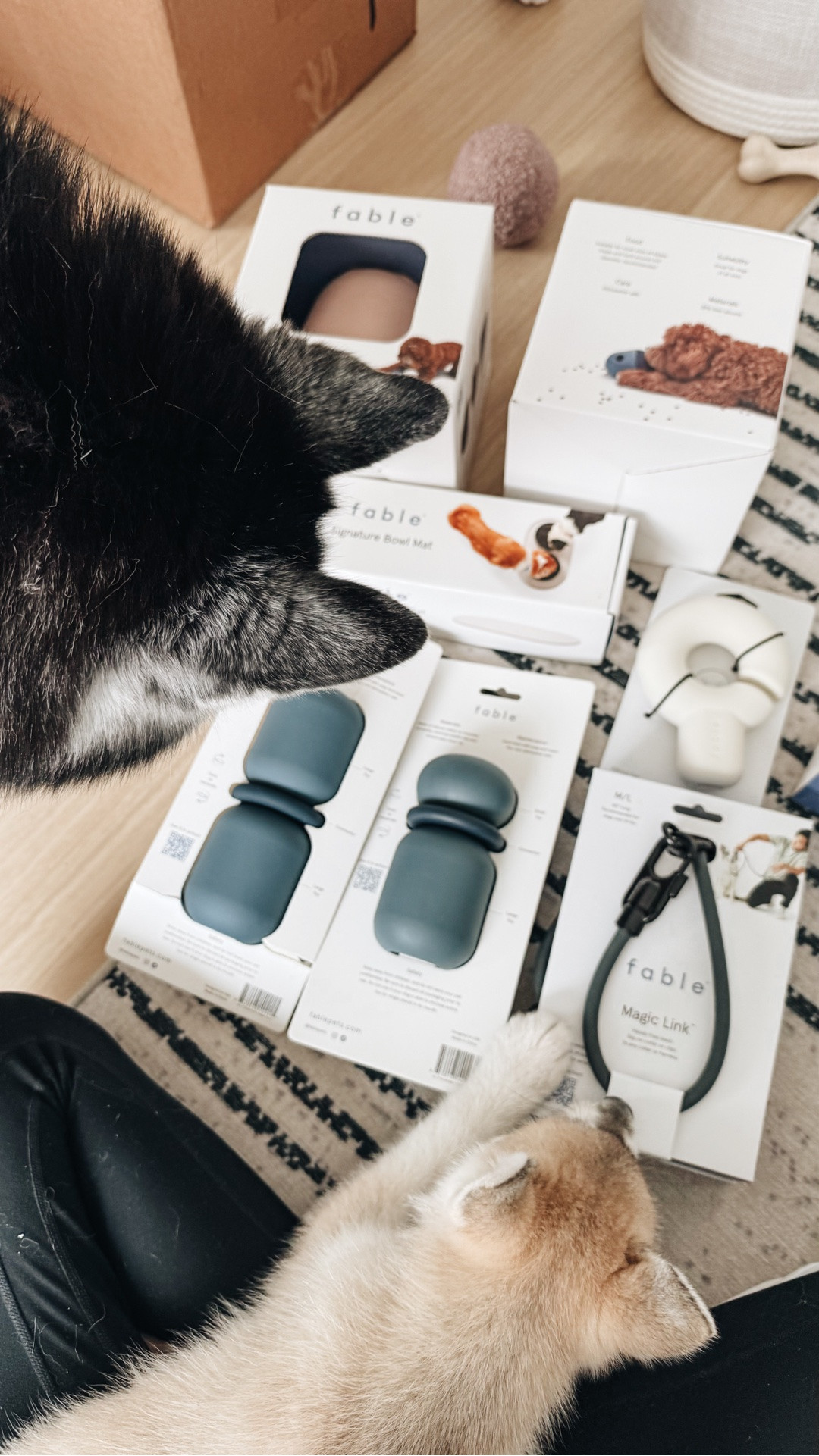 The toy every Work From
Home Dog parent should have.

#LTKSaleAlert