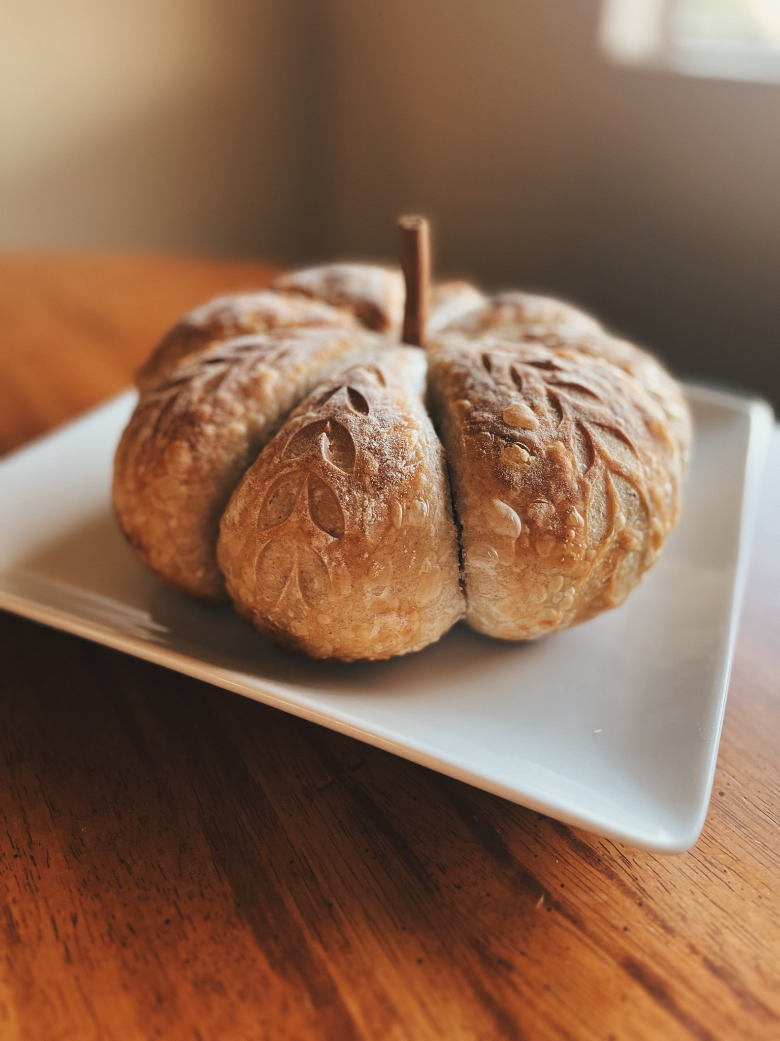tutorial up on my insta!

sourdough pumpkin / fall snacks 



#LTKHome #LTKSeasonal #LTKParties
