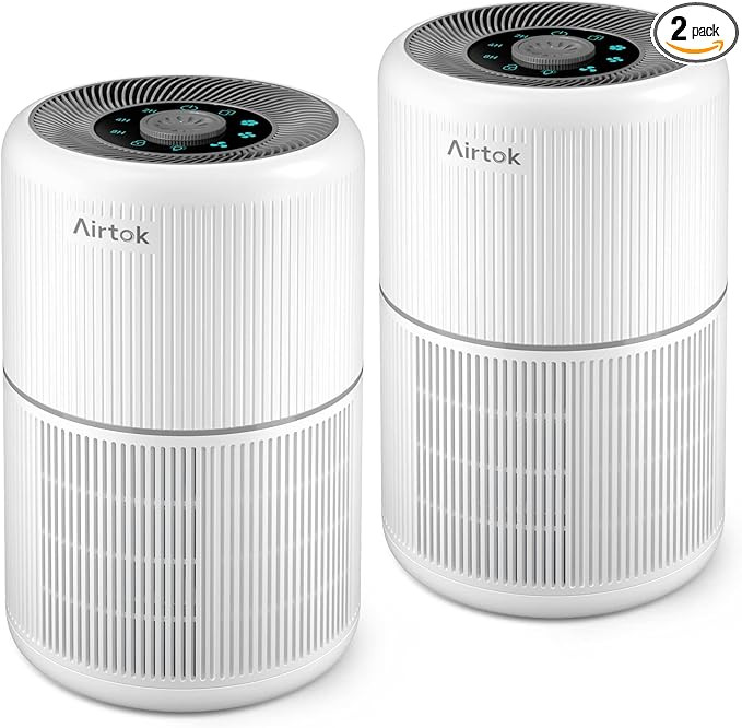 2 Pack Air Purifier for Home Bedroom with H13 True HEPA Filter for Smoke, Smokers, Dust, Odors, P... | Amazon (US)