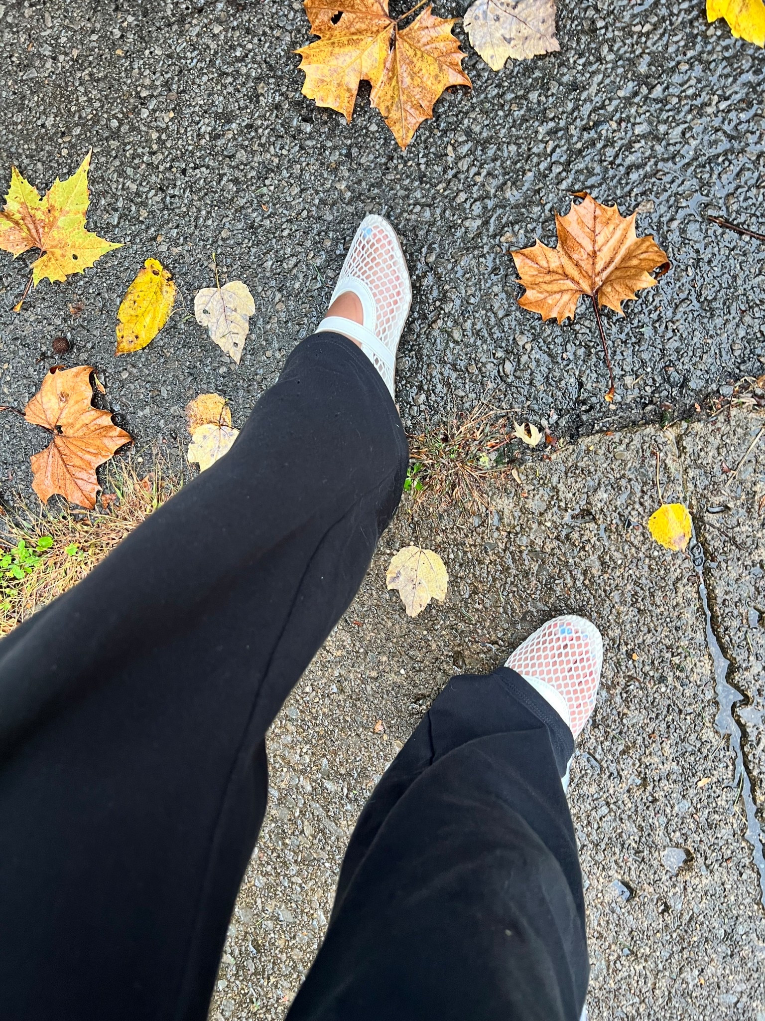 Mesh Flats that are clearly not waterproof 😅🤣

#LTKStyleTip #LTKShoeCrush #LTKSeasonal