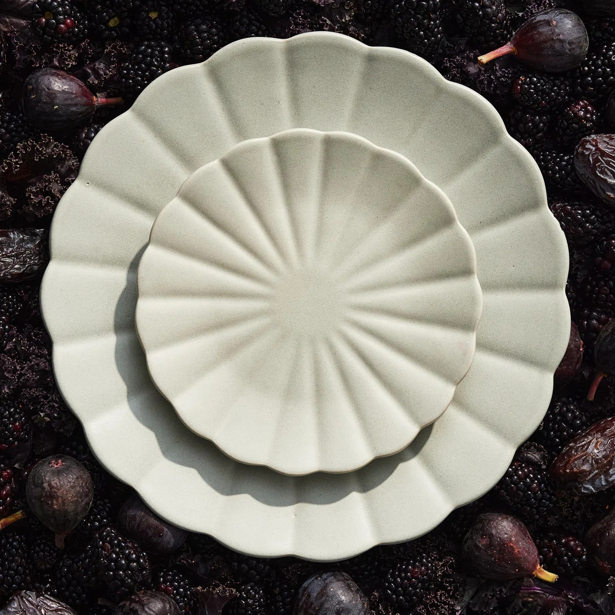 Canvas Home Lafayette Dinner Plate (Set of 4) | Wayfair North America
