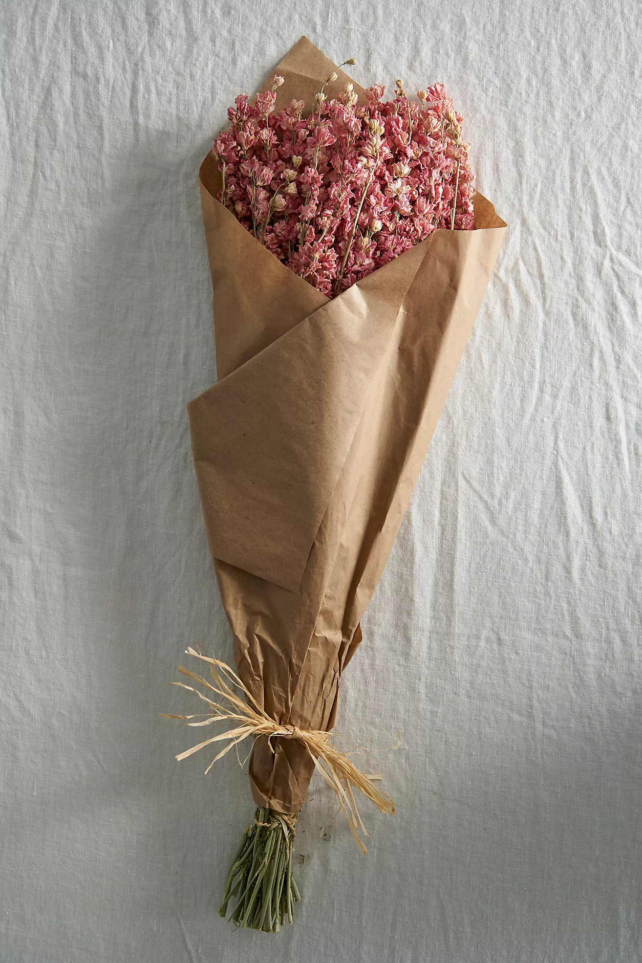 Dried Larkspur Bunch | Anthropologie (US)