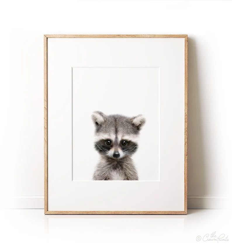 Nursery decor, Raccoon print, Woodland animals, PRINTABLE decor, Forest animal, Animal art, Baby ... | Etsy (US)