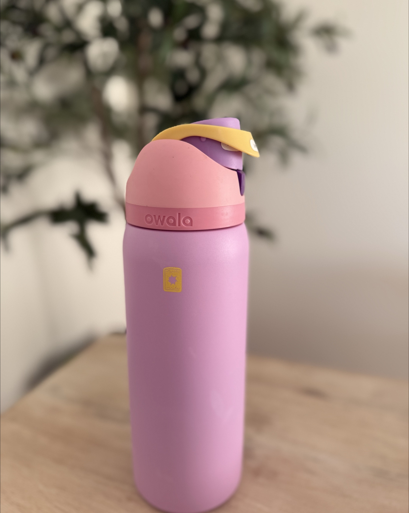 Our new favorite water bottle for on the go! 

#LTKActive #LTKKids #LTKmomlife