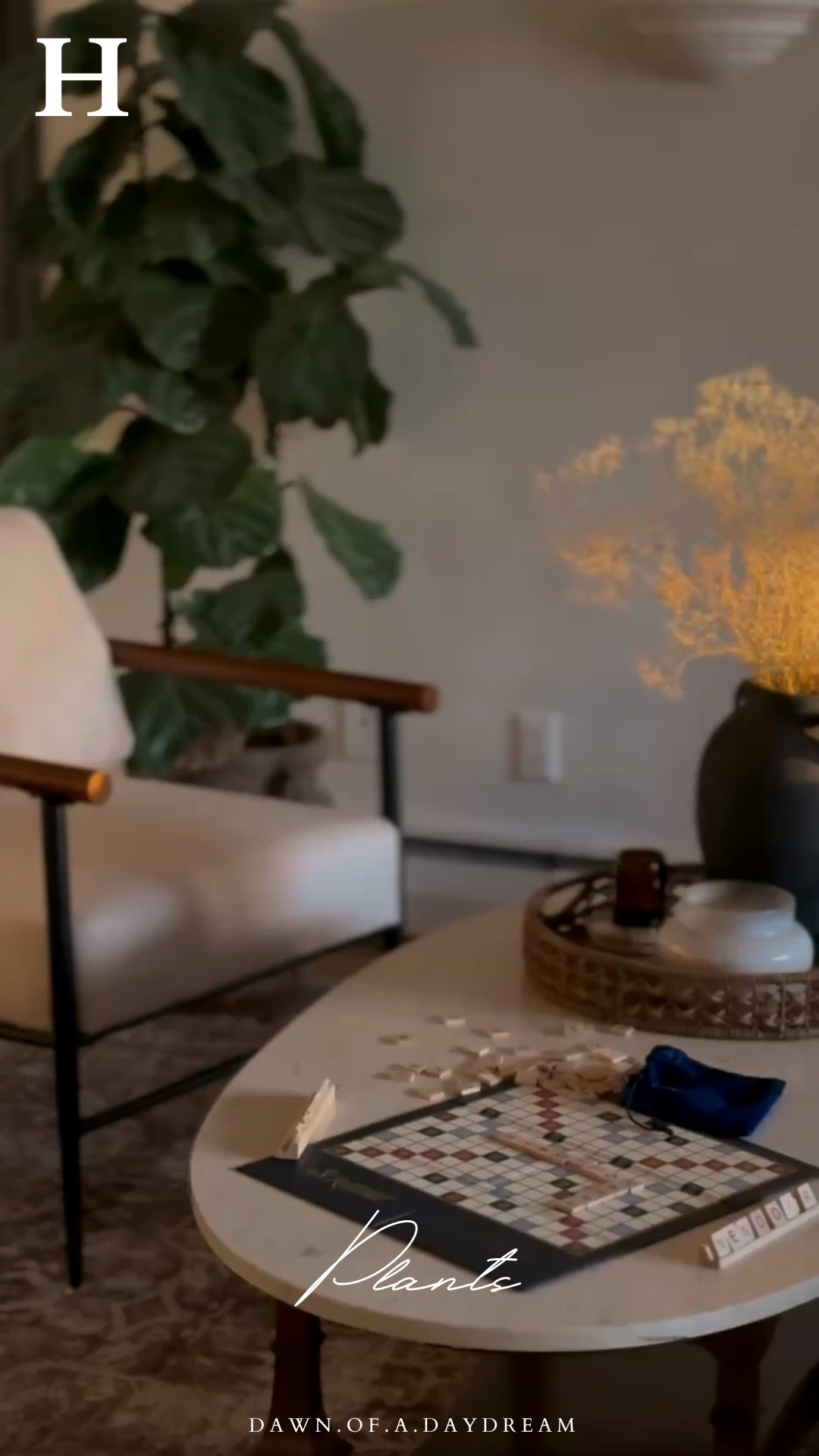 H: Plants

Live plants that I used in my cozy family room plus faux options for those without a green thumb

#LTKHome