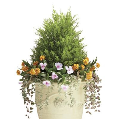 Indoor/Outdoor Cypress Floral Urn Filler | Frontgate