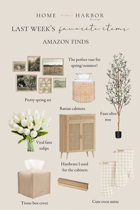 Amazon favorites of the week! Spring decor, home best-sellers, great prices! 

#amazonfinds #amazonhome 

#LTKSeasonal #LTKhome