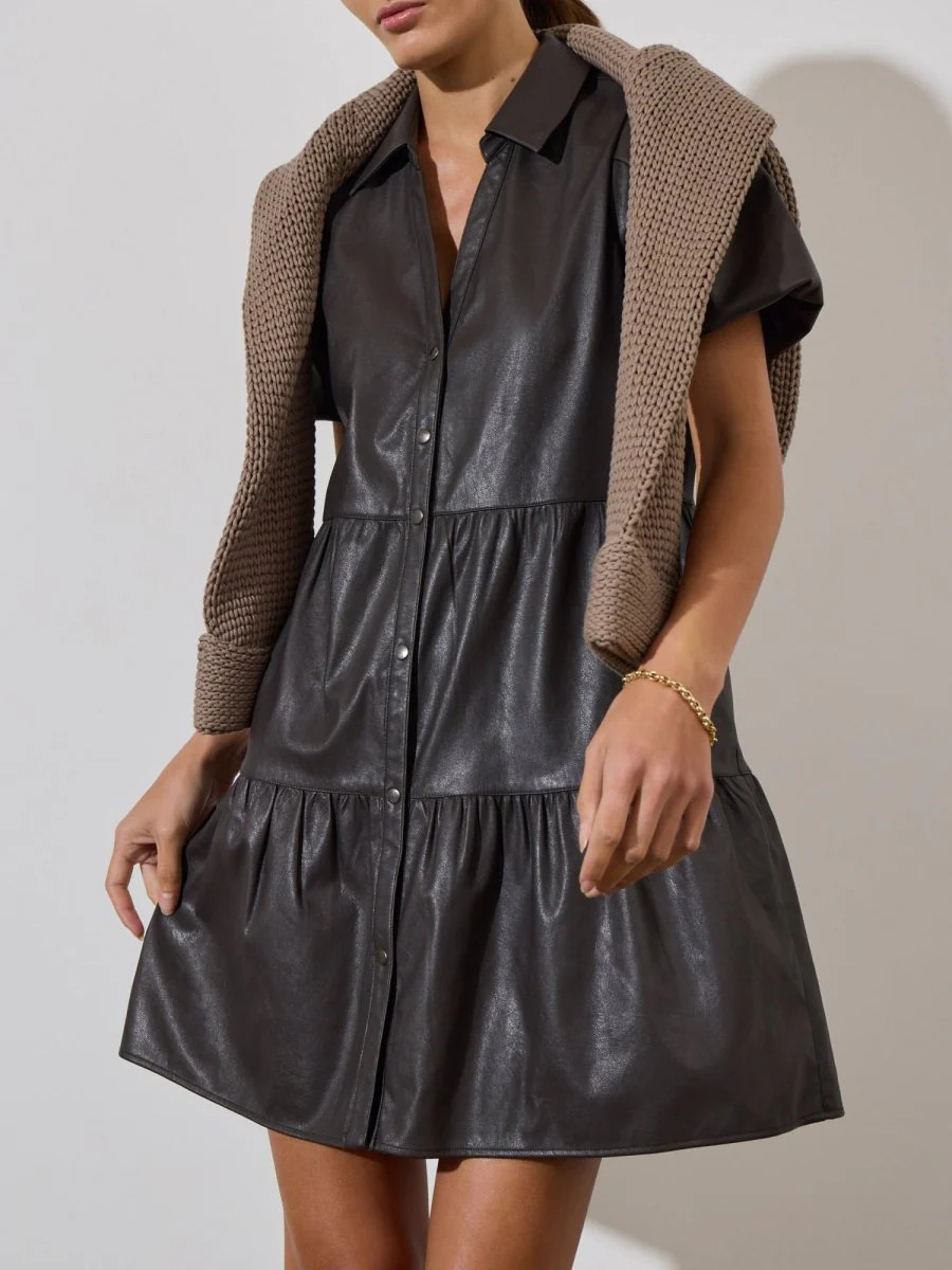 Women's Havana Vegan Leather Mini Dress in Timber | Brochu Walker | Brochu Walker