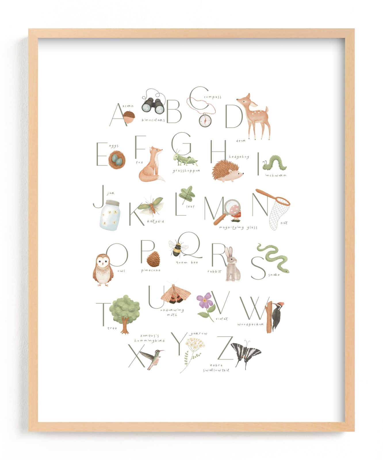 Woodland Explorer Alphabet | Minted