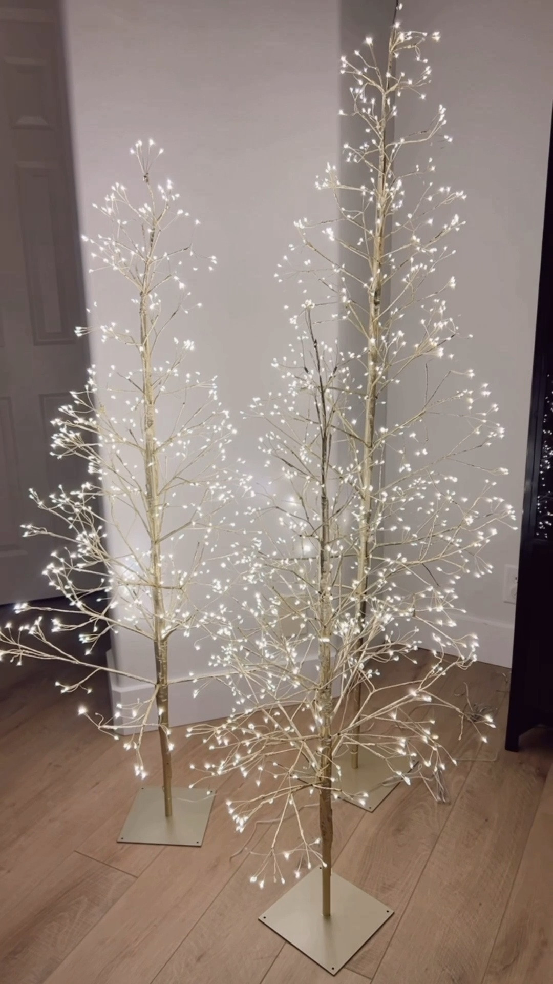 They’re BACK!! 🎄✨ I shared these magical twinkle trees last year and they sold out, so I’m sharing them even earlier this year! They are seriously the prettiest twinkle trees and make your home feel instantly magical. ✨

I know it’s only September, but if you wanted them last year and missed out, don’t wait this time. I have a feeling they’re going to sell out again! @Walmart

#LTKSeasonal #LTKHome
