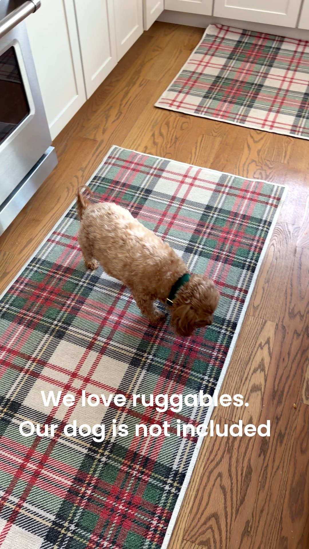 We love these rugs and change them up every season. Easy to wash too  

#LTKHoliday