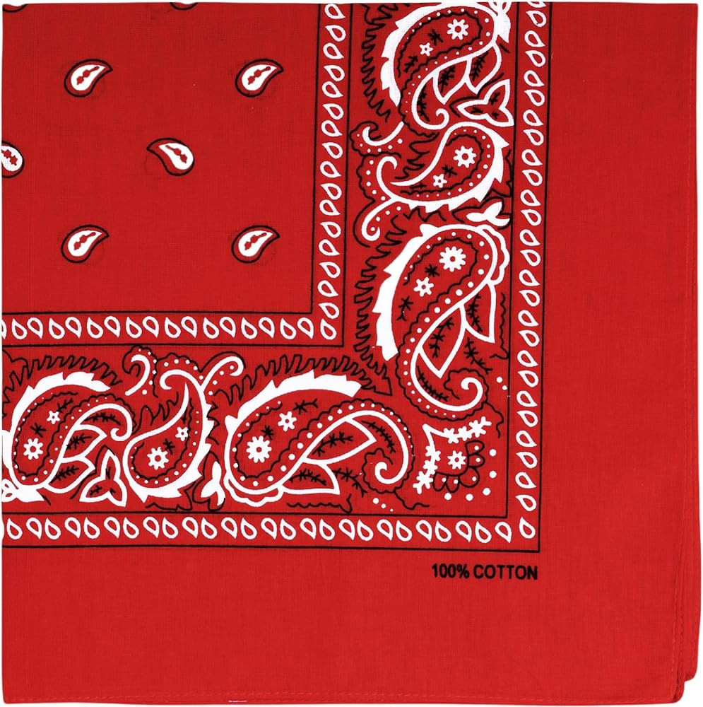 Raylarnia Bandana Multi-Purpose 100% Cotton Headbands for Women, 22 inch Paisley Cowboy Bandanas ... | Amazon (US)