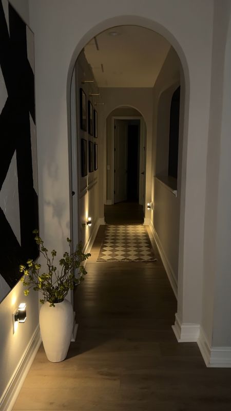 I love these nightlights! They automatically turn on when it gets dark. They also have a dimmer switch 

Amazon Home find, modern nightlight, checkered rug, runner, Floor vase, gallery wall 

#LTKHome #LTKVideo #LTKFindsUnder50
