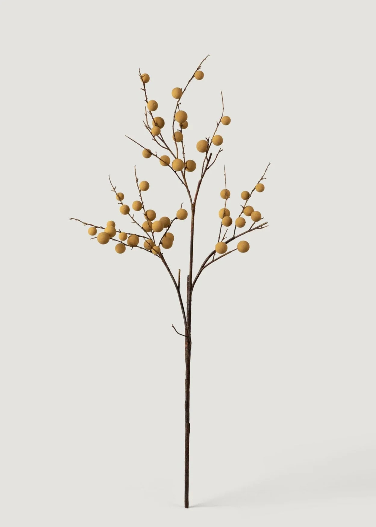 Tropical Longan Fruit Branch - 39" | Faux, Tall | Afloral | Afloral