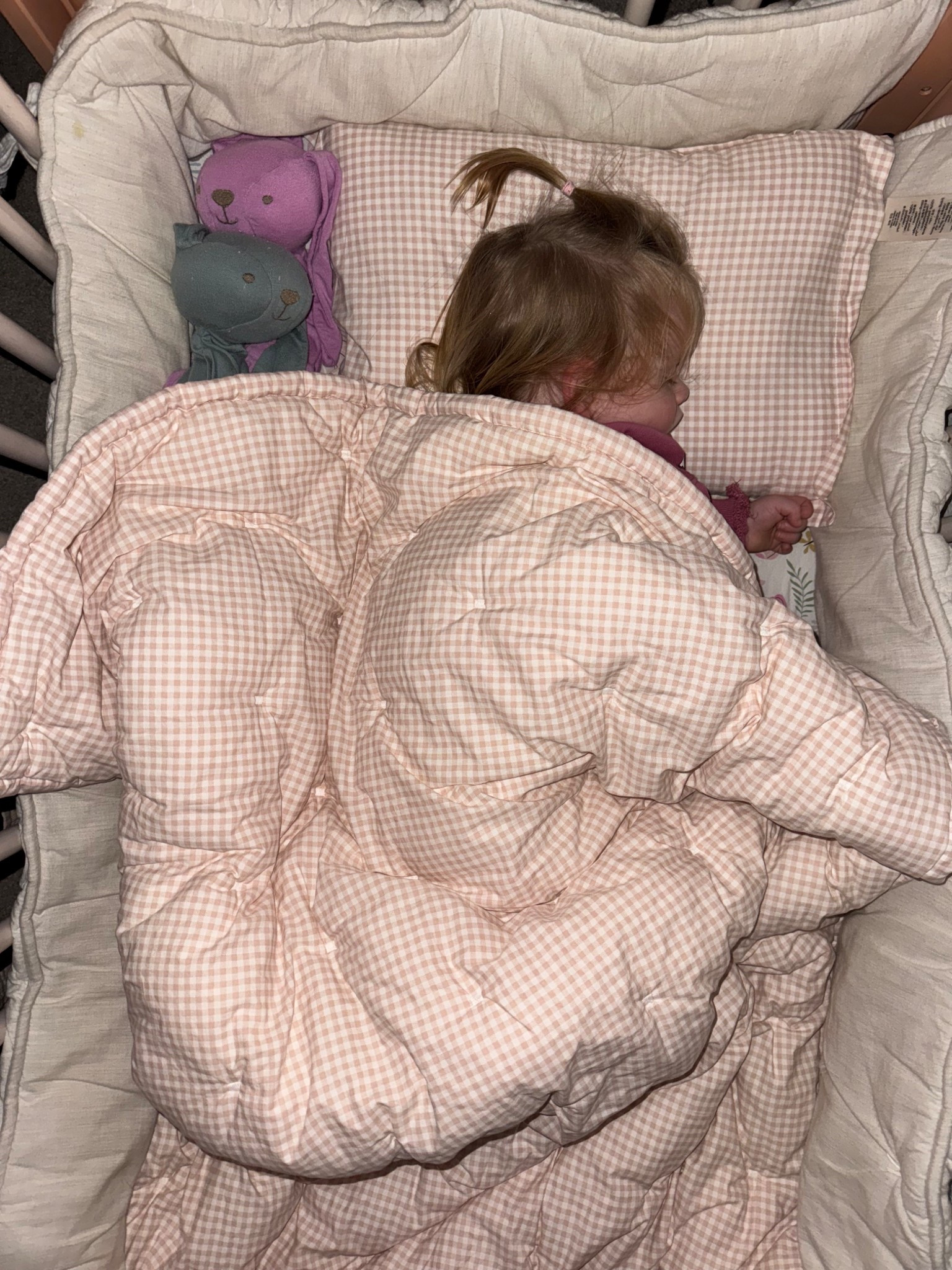 Toddler crib bedding! 🩷  it is organic cotton percale, which was important to me since she will be spending a lot of hours snuggled with it! 🫶🏼

ON SALE! 🔔

She’s 20 months & knows how to take the blanket on and off herself! Make sure your toddler is ready before doing this 🫶🏼

Organic comforter toddler organic comforter organic bedding toddler bedding crib bedding sleep bedtime