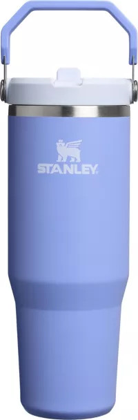Stanley 30 oz. IceFlow 2.0 Flip Straw Tumbler | DICK'S Sporting Goods
