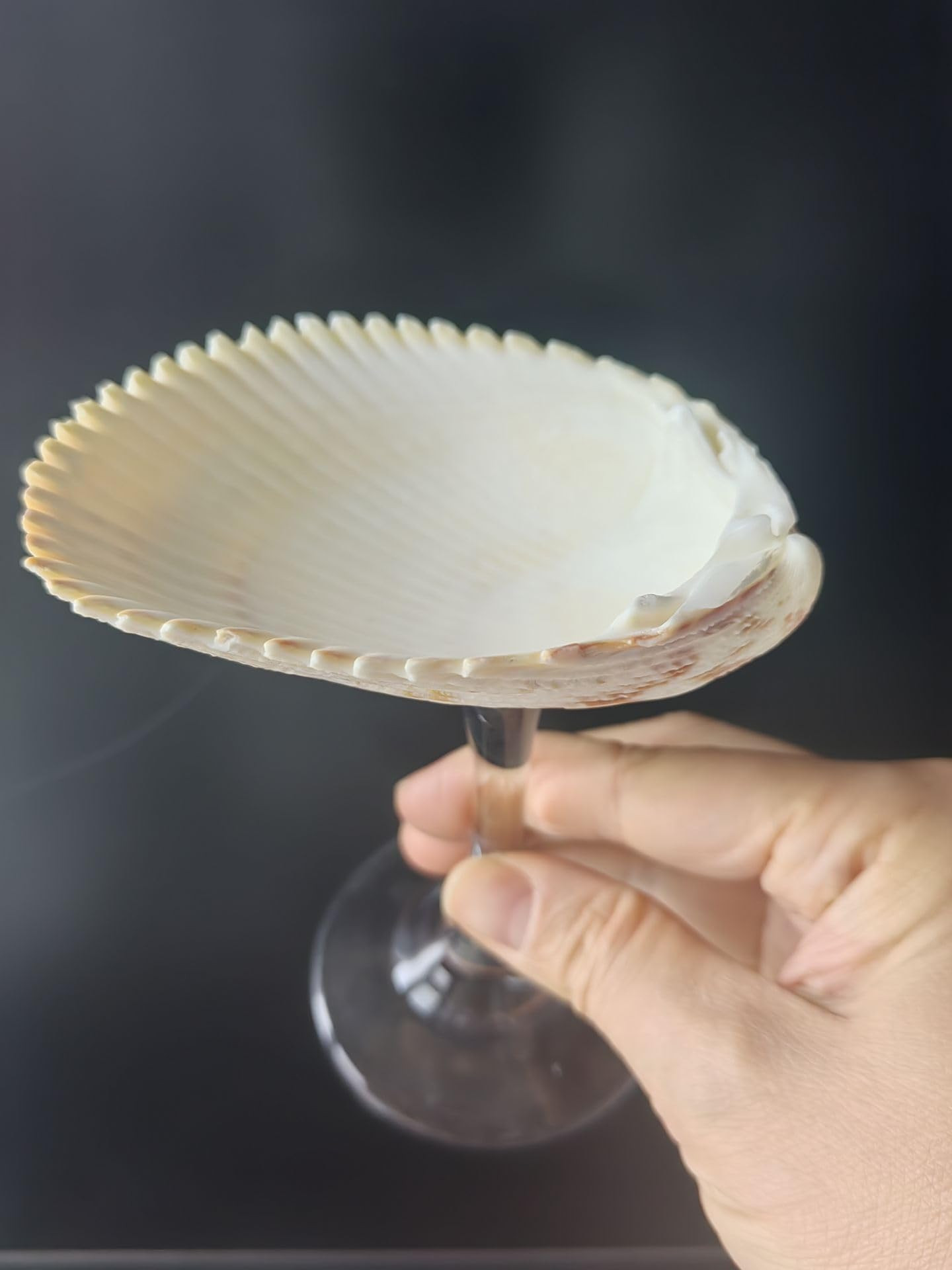DOCLY&WOPL Handmade Seashell Wine Glasses Conch Cup Martini Glasses Cocktail Party Beach Wedding ... | Amazon (US)