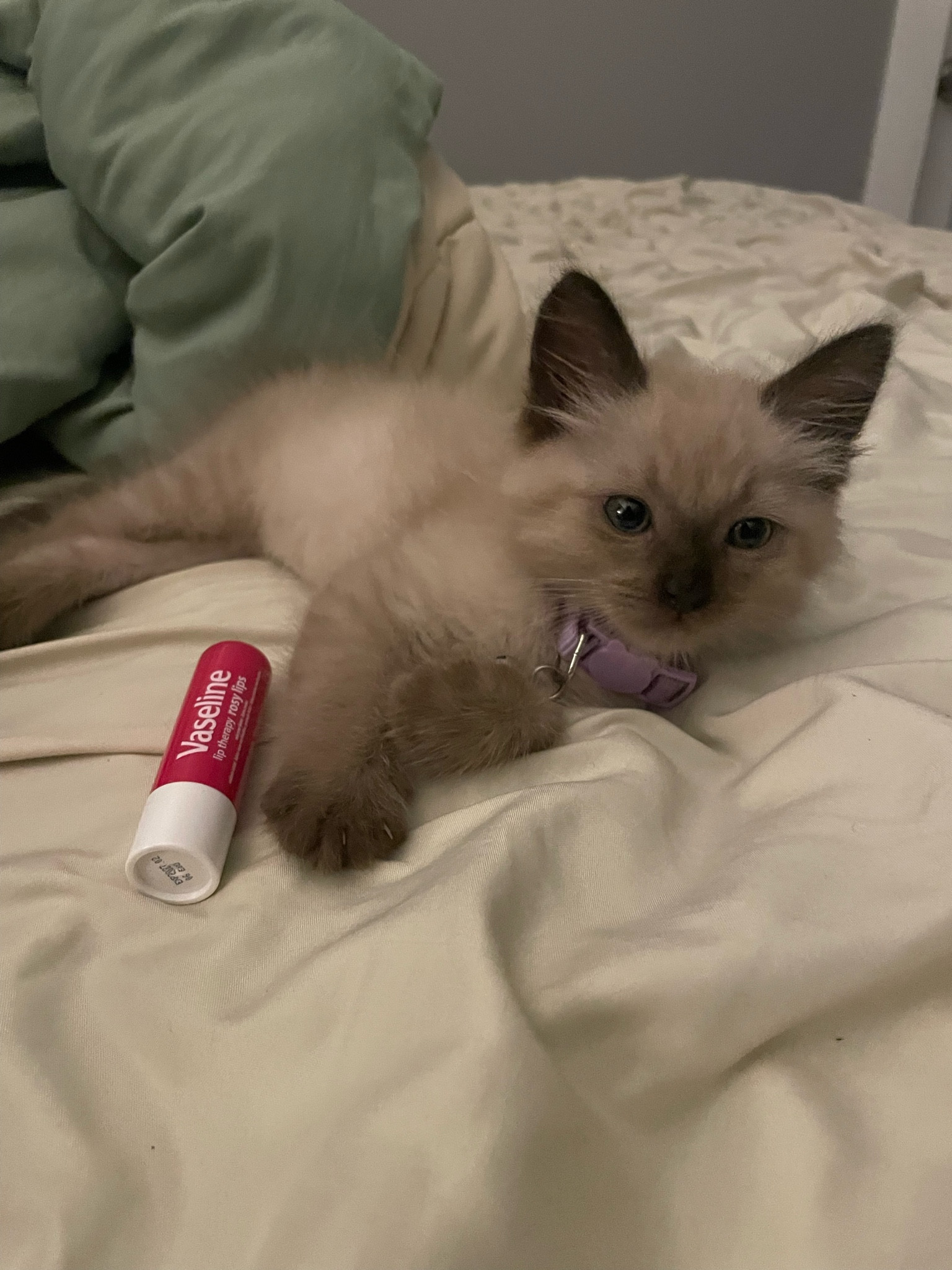 Lipbalms from Sephora 😎

#LTKBeauty #LTKGiftGuide #LTKItBag