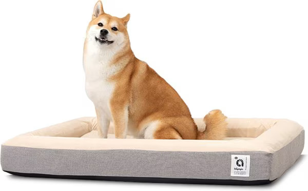 Ibiyaya Deep Sleep Orthopedic Dog Bed | Chewy.com