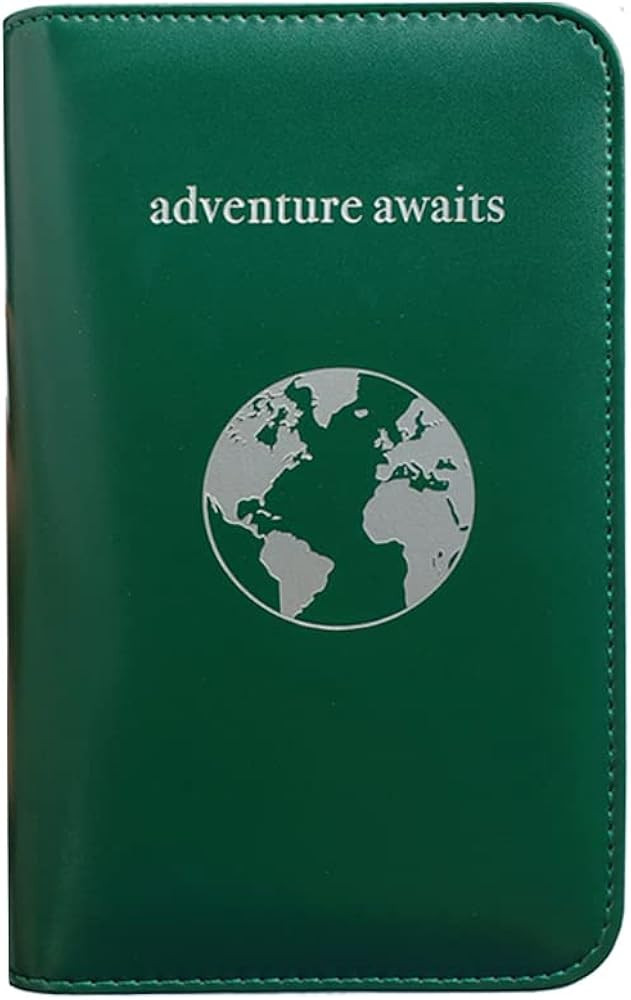 Phone Charging Passport Holder - Travel Wallet with Removable Power Bank holds money, cards, phon... | Amazon (US)