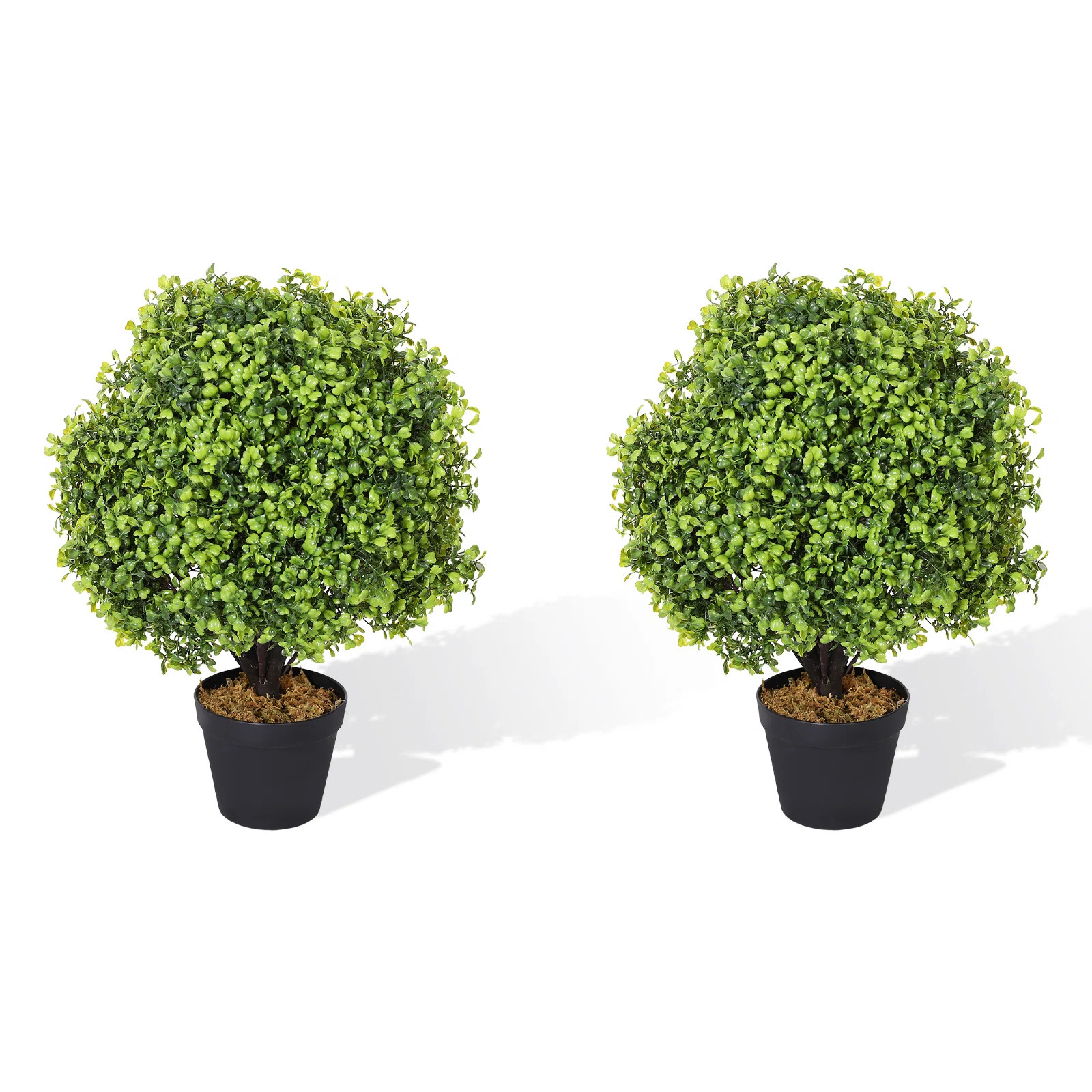 Primrue Haight 24-Inch Indoor or Outdoor Faux Boxwood Topiary in Pot & Reviews | Wayfair | Wayfair North America