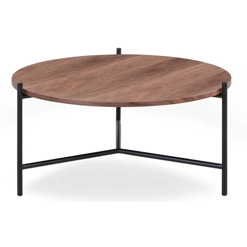 Fariley Coffee Table | Wayfair North America