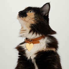 Heart Pet Tag : Handcrafted in 24k Gold Plated Stainless Steel | Mejuri | Mejuri (Global)