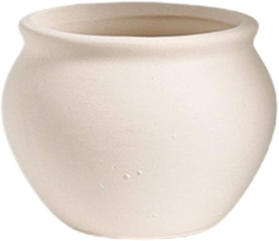 Small Ceramic Flower Pot Succulent Plants Flower Container Bonsai Potted Q84D | Amazon (US)