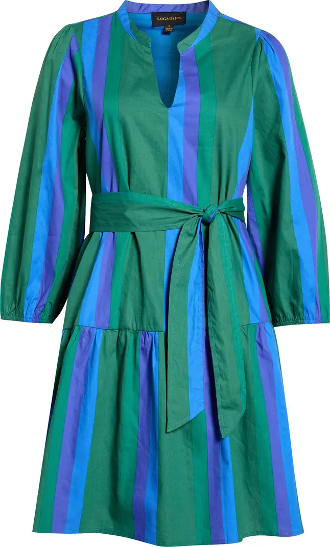 Dolary Stripe Leola Mini Shirtdress | Nordstrom