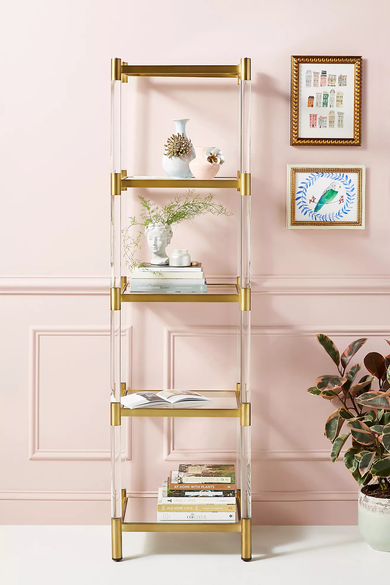 Oscarine Lucite Narrow Mirrored Bookshelf | Anthropologie (US)