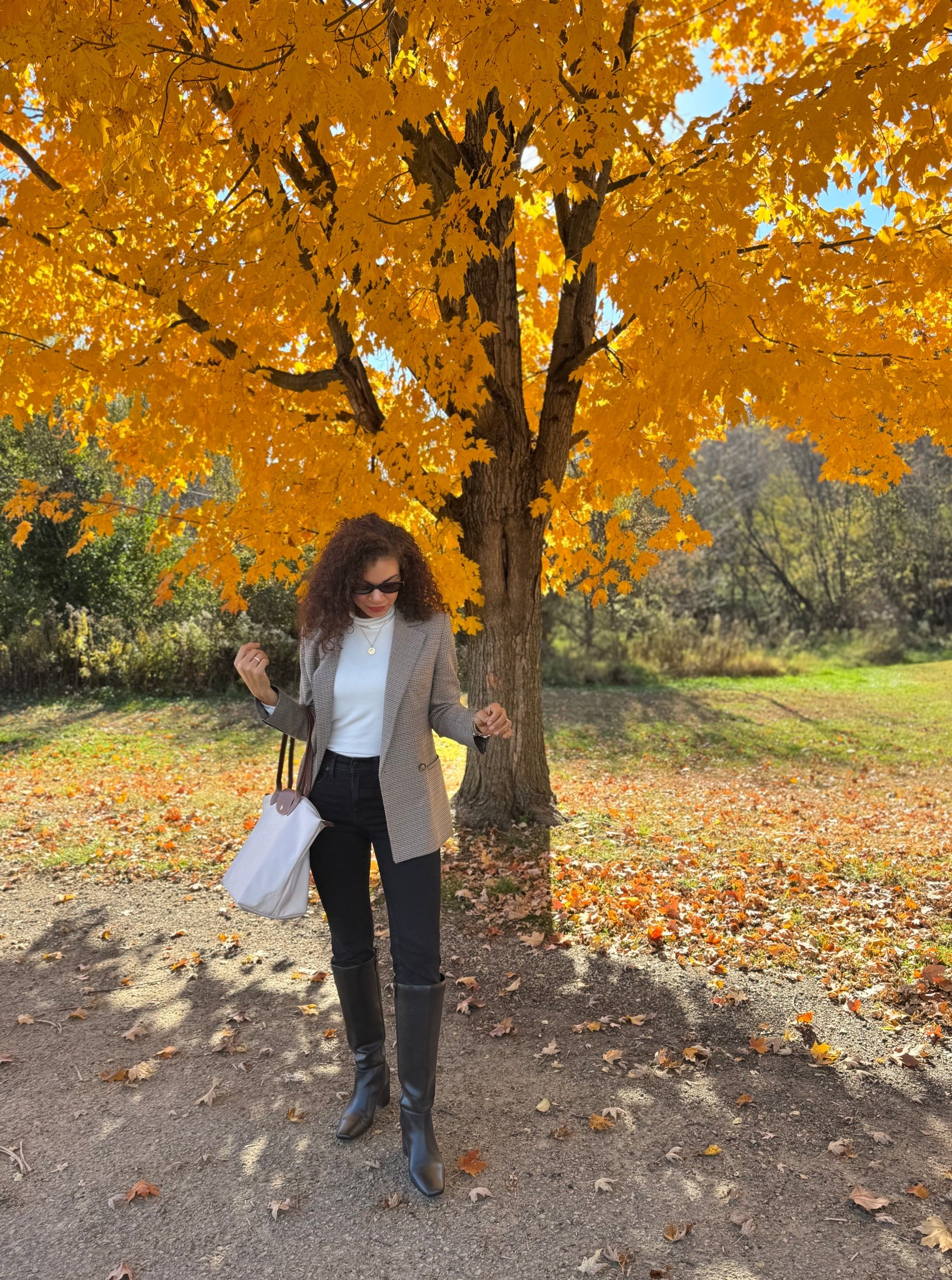 Preppy fall outfit: black jeans (not skinny but tucked into boots they look like it), turtleneck, houndstooth blazer, knee high boots, and Longchamp tote 

#LTKSeasonal #LTKStyleTip