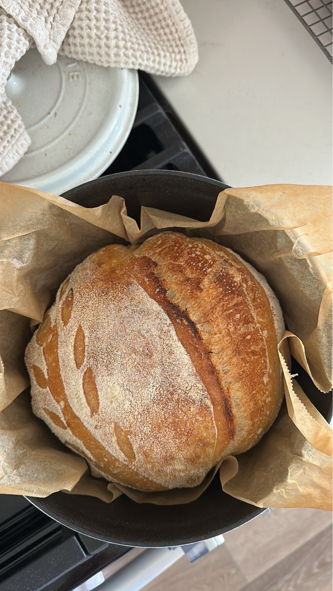 Sourdough Sunday | sourdough must haves

#LTKmomlife #LTKHome #LTKfoodie
