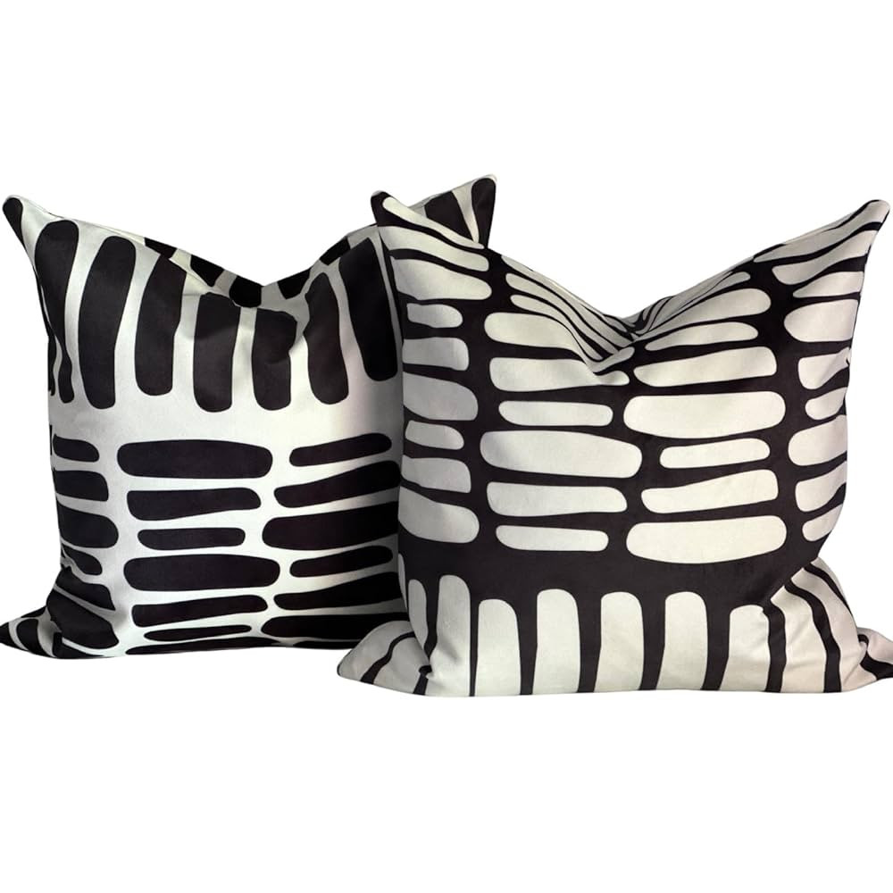 AYAY Decorative Modern Throw Pillow Covers 18x18 Set of 2 – Black and White Throw Pillows for C... | Amazon (US)