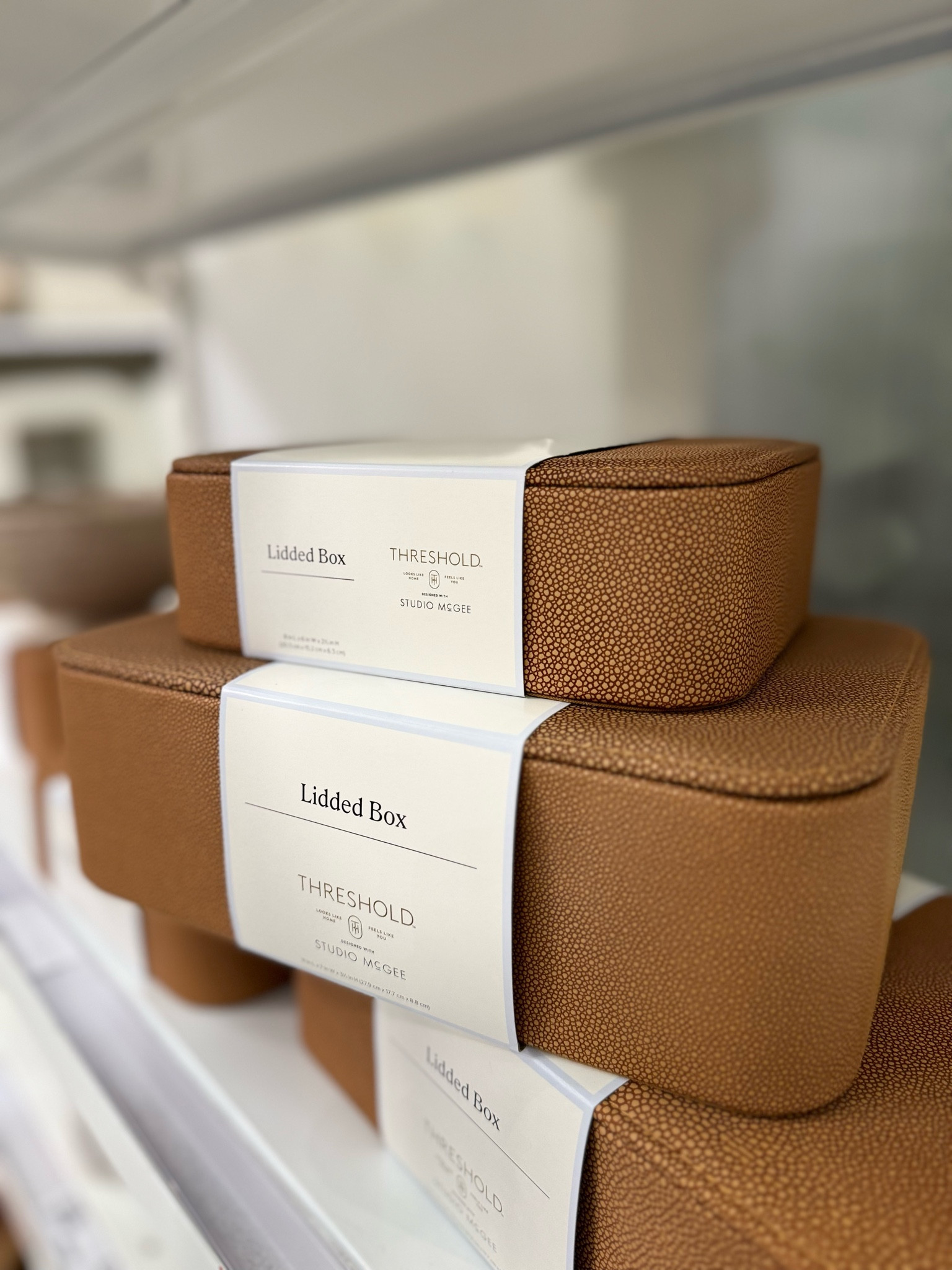 New Decorative boxes! 

 
Target, box

#LTKVideo