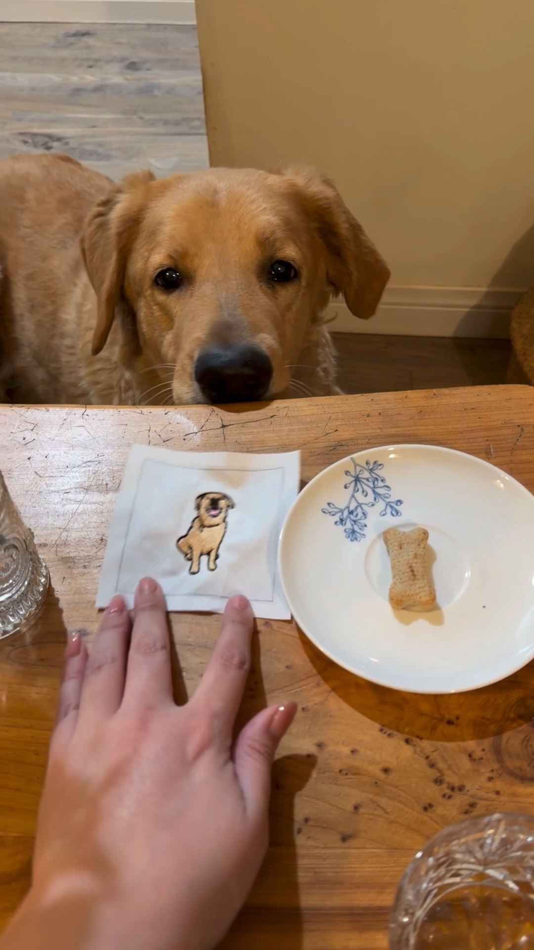 Who knew that embroidering your pet on a cocktail napkin would be so fun? 🦮🪡🧵❤️ Reusable and made of 55% linen and 45% cotton and 6x6 inches🥰


#LTKHome #LTKWedding #LTKfoodie