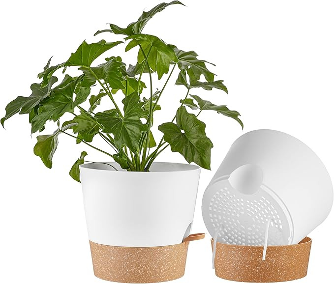 FaithLand 2-Pack 10 Inch Planter Pots for Indoor Outdoor Plants, Self Watering Flower Pots with D... | Amazon (US)