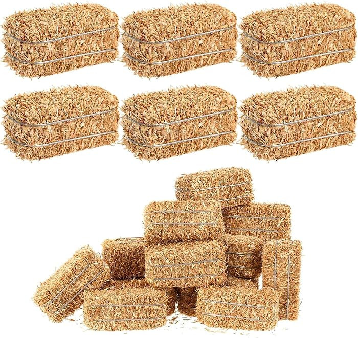 6 Pcs Mini Hay Bales Miniature Hay Bales for Decoration Small Decorative Straw for Easter Scene R... | Amazon (US)