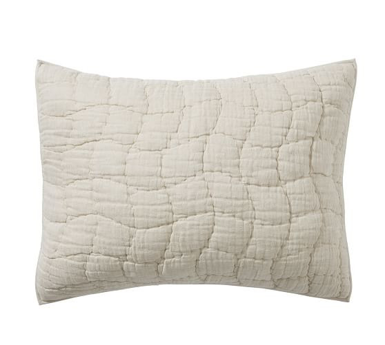 Cloud Quilted Sham | Pottery Barn (US)