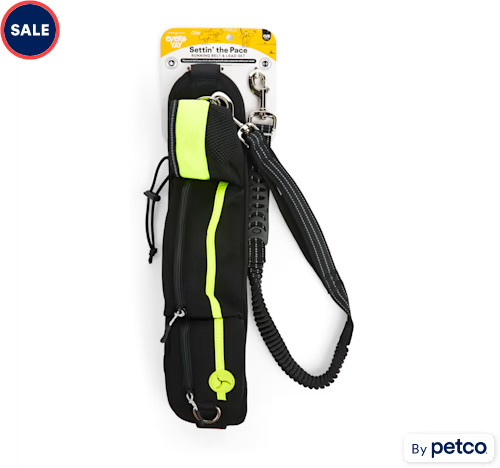 EveryYay Settin' the Pace Running Belt & Leash Set for Dogs, Yellow, 34-in long, 1.5-in wide | Petco