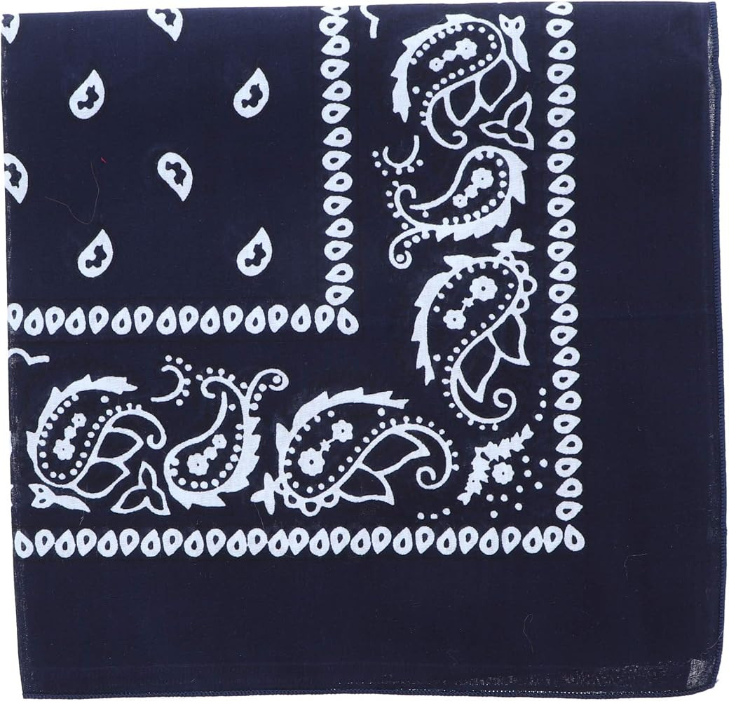 22 Inch Cotton Paisley Bandana | Amazon (US)