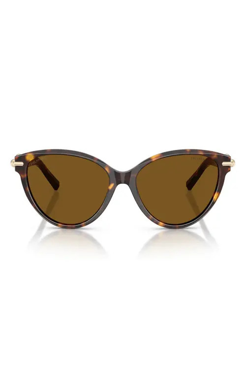 Tiffany & Co. 56mm Polarized Cat Eye Sunglasses in Havana /Dark Brown Polar at Nordstrom | Nordstrom