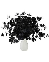 GREENTIME 2 Pack Black Eucalyptus Stems | Amazon (US)